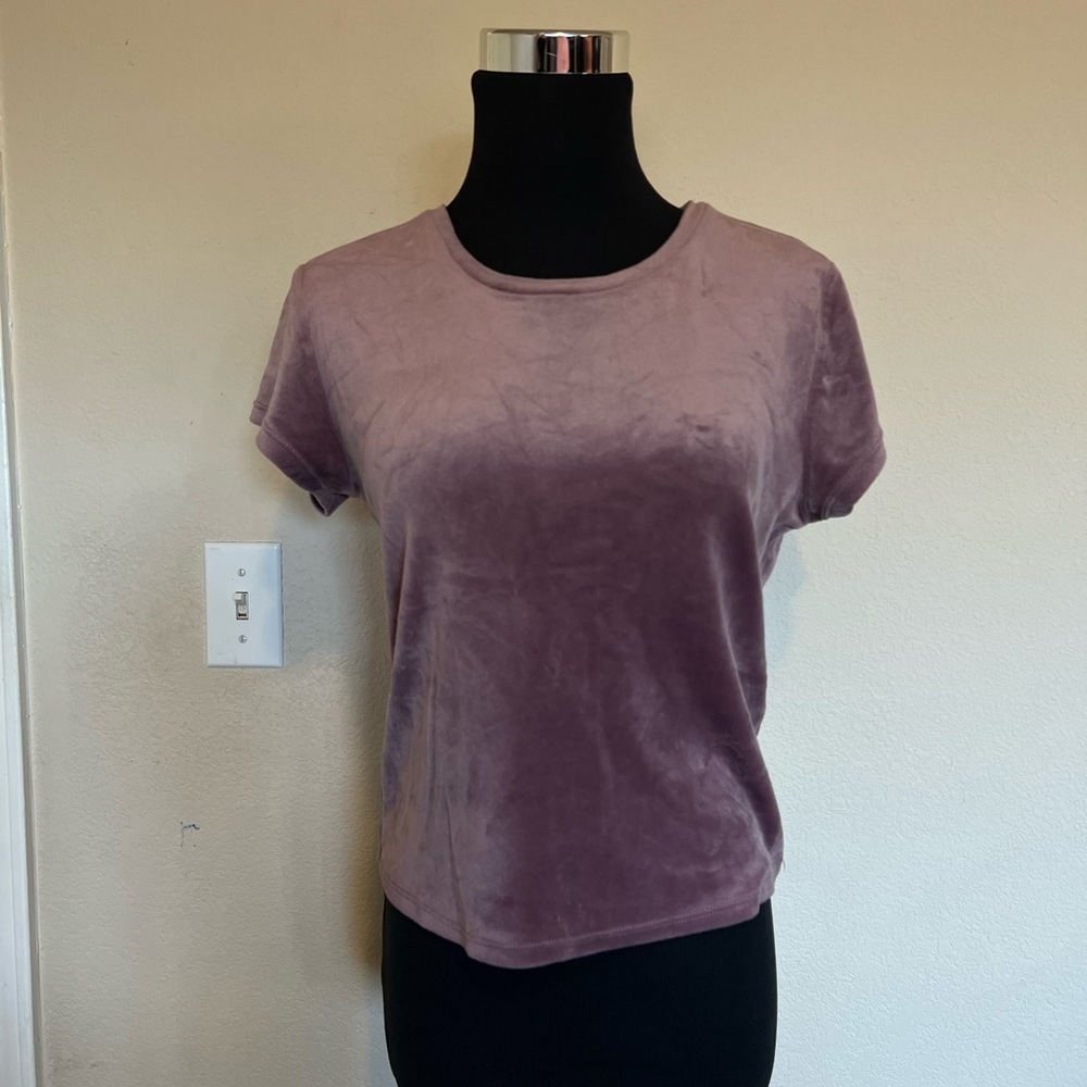 Garage Mauve Velvet Short Sleeve Top